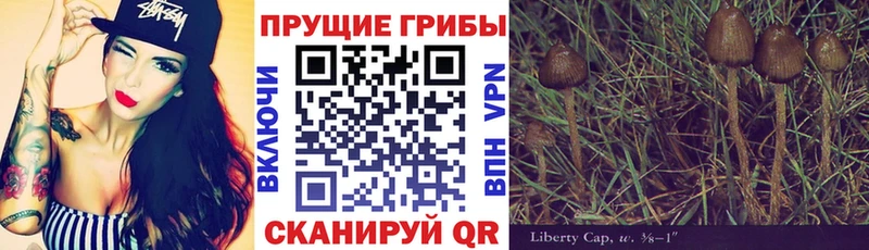 Галлюциногенные грибы MAGIC MUSHROOMS  магазин продажи   omg рабочий сайт  Тырныауз 